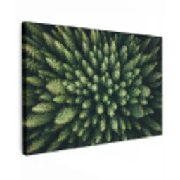 Bomen - Naaldwoud - Structuur canvas 2cm klein -z3d