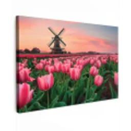 Tulpen - Molen - Nederland canvas 2cm klein -z3d