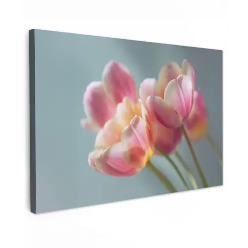 Tulpen - Roze - Stelen canvas 2cm klein -z3d