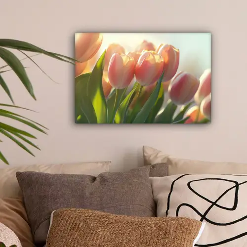 Tulpen - Roze - Zonnestralen canvas 2cm klein -sfeer1