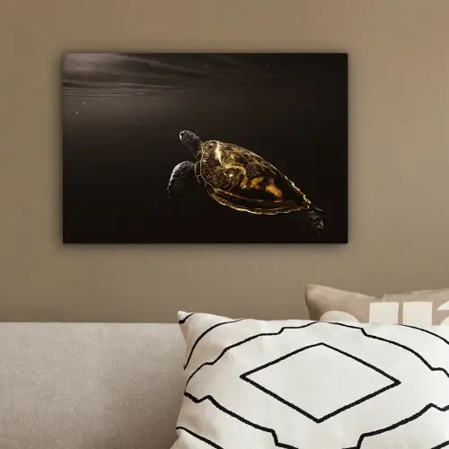 Schildpad - Zwart - Goud canvas 2cm klein -sfeer3