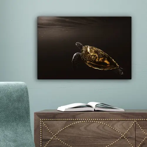 Schildpad - Zwart - Goud canvas 2cm klein -sfeer4