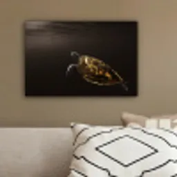 Schildpad - Zwart - Goud canvas 2cm klein -sfeer3