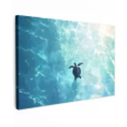 Schildpad - Zee - Blauw - Schittering canvas 2cm klein -z3d