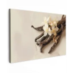Vanille - Bloemen - Beige canvas 2cm klein -z3d