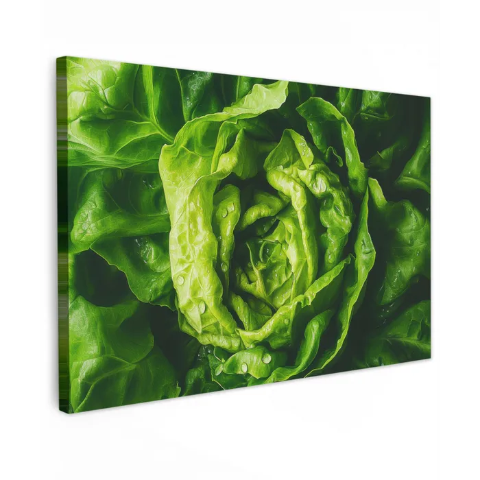 Groente - Sla - Groen canvas 2cm klein -z3d
