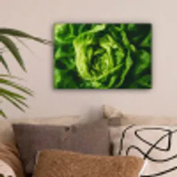 Groente - Sla - Groen canvas 2cm klein -sfeer1