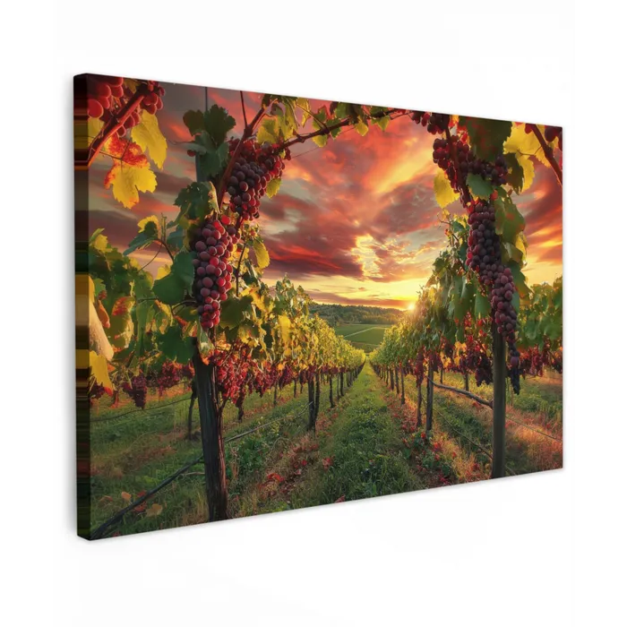 Wijngaard - Druiven - Zonsondergang canvas 2cm klein -z3d
