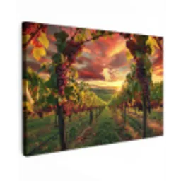 Wijngaard - Druiven - Zonsondergang canvas 2cm klein -z3d