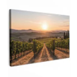 Wijngaard - Zonsondergang - Landschap canvas 2cm klein -z3d