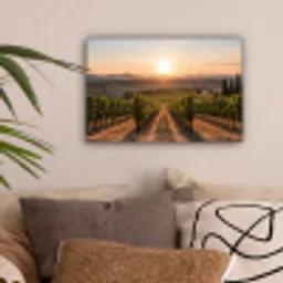 Wijngaard - Zonsondergang - Landschap canvas 2cm klein -sfeer1