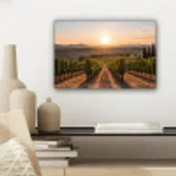 Wijngaard - Zonsondergang - Landschap canvas 2cm klein -sfeer6
