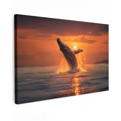 Walvis - Zon - Zee canvas 2cm klein -z3d