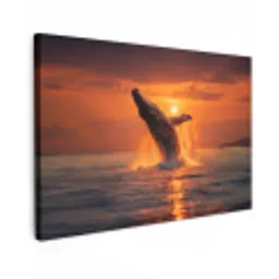Walvis - Zon - Zee canvas 2cm klein -z3d