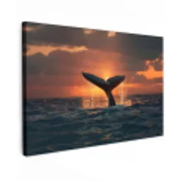 Walvis staart - Water - Zonsondergang canvas 2cm klein -z3d