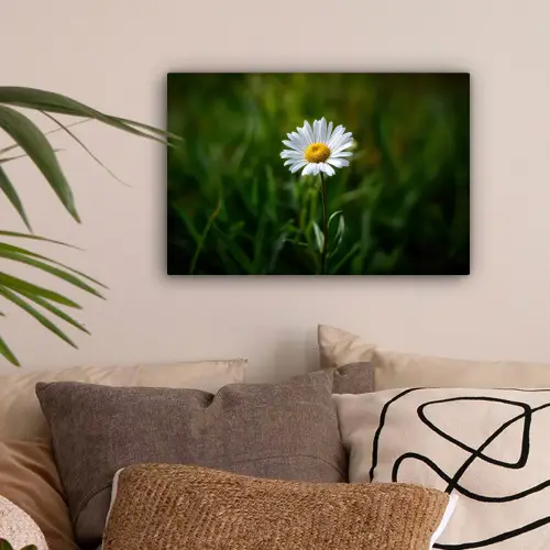 Wit - Madeliefje - Bloem - Gras canvas 2cm klein -sfeer1