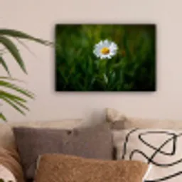 Wit - Madeliefje - Bloem - Gras canvas 2cm klein -sfeer1