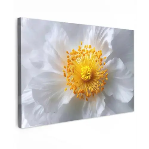 Wit - Bloem - Elegant canvas 2cm klein -z3d
