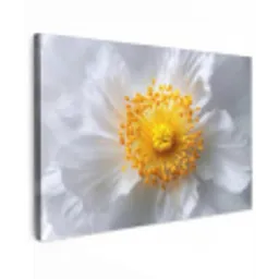 Wit - Bloem - Elegant canvas 2cm klein -z3d
