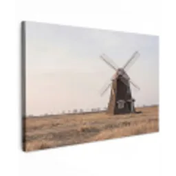 Windmolens - Landschap - Veld canvas 2cm klein -z3d