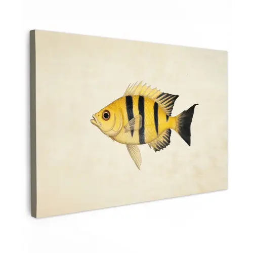 Geel - Vis - Strepen - Tropisch canvas 2cm klein -z3d