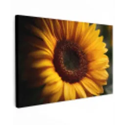 Geel - Zonnebloem - Zomers canvas 2cm klein -z3d