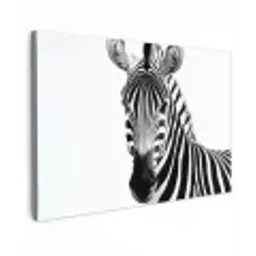 Zebra - Close-up - Zwart - Strepen canvas 2cm klein -z3d