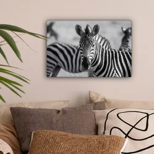 Zebra's - Zwart - Wit canvas 2cm klein -sfeer1