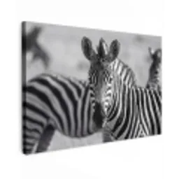 Zebra's - Zwart - Wit canvas 2cm klein -z3d