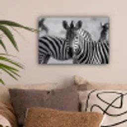 Zebra's - Zwart - Wit canvas 2cm klein -sfeer1