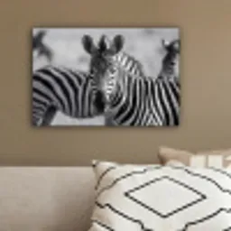 Zebra's - Zwart - Wit canvas 2cm klein -sfeer3