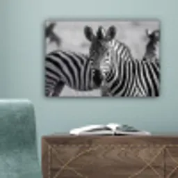 Zebra's - Zwart - Wit canvas 2cm klein -sfeer4