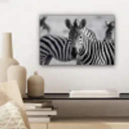 Zebra's - Zwart - Wit canvas 2cm klein -sfeer6