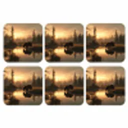 Beer - water - Bos - Ochtendlicht onderzetter kurk middel -3d