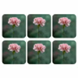 Anjer - Roze - Bloemblaadjes onderzetter kurk middel -3d