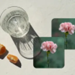 Anjer - Roze - Bloemblaadjes onderzetter kurk middel -sfeer4