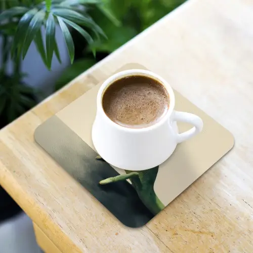 Kameleon - Groen - Minimalistisch onderzetter kurk middel -sfeer5
