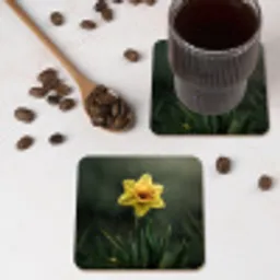 Bloem - Narcis - Gras - Geel onderzetter kurk middel -sfeer2