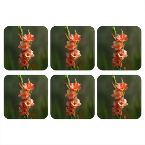 Bloem - Gladiolen - Zalmroze onderzetter kurk middel -3d