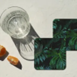 Monstera - Bladeren - Tropisch - Jungle onderzetter kurk middel -sfeer4