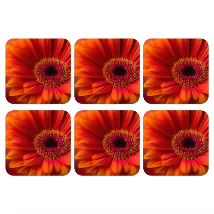 Oranje - Gerbera - Intens onderzetter kurk middel -3d