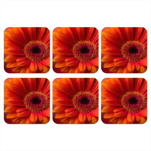 Oranje - Gerbera - Intens onderzetter kurk middel -3d