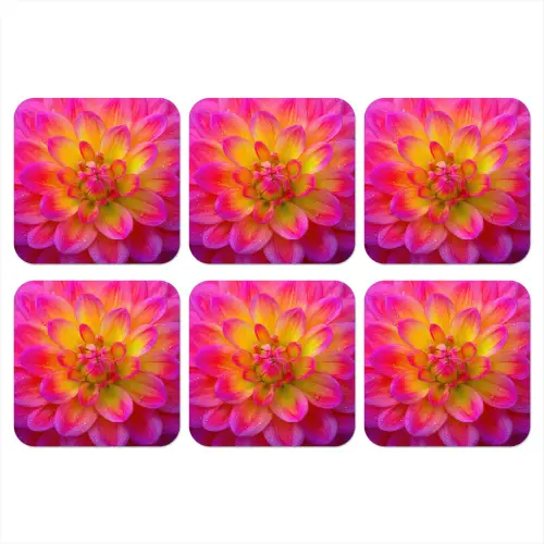 Roze - Dahlia - Kleurrijk onderzetter kurk middel -3d