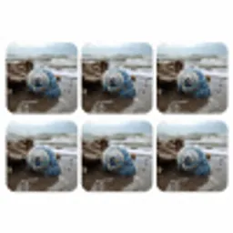 Schelp - Strand - Blauw - Zee onderzetter kurk middel -3d