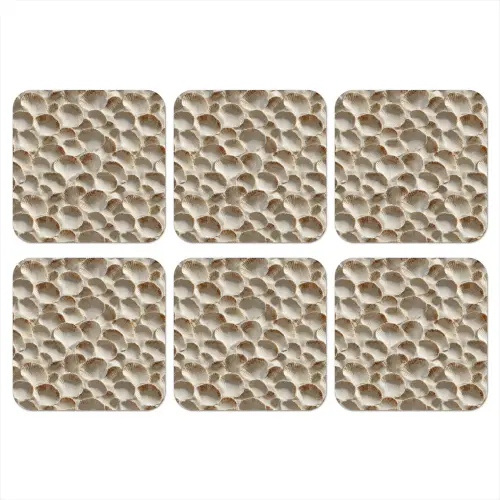 Schelpen - Waaiervorm - Wit onderzetter kurk middel 366 -3d