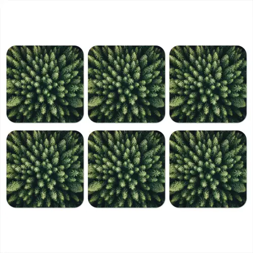Bomen - Naaldwoud - Structuur onderzetter kurk middel -3d
