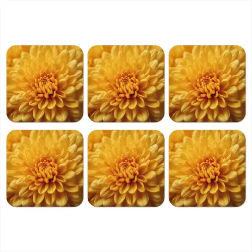 Geel - Chrysant - Zachtheid onderzetter kurk middel -3d