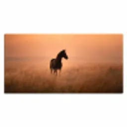 Paard - Grasveld - Zonsondergang Muismat XXL klein -3d_leeg