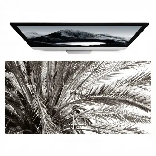 palmboom-tropisch-zwart-wit Muismat XXL klein -zzz3d