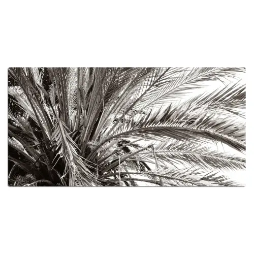 palmboom-tropisch-zwart-wit Muismat XXL klein -3d_leeg